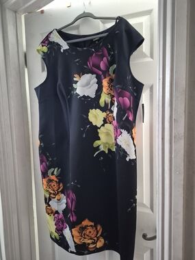 Nwt 22w Glamour Floral Dress